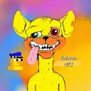 Calman卡门