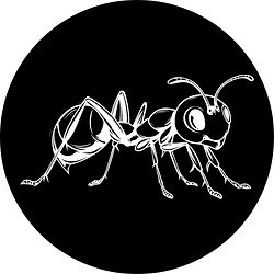 Antscoin