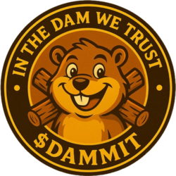 DAM IT