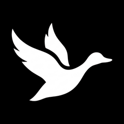 Ducky Capital AI