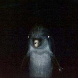 Gerald The Dolphin