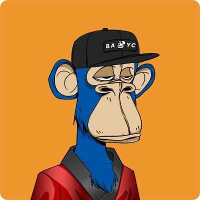 Hodlr Collective