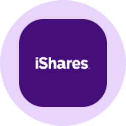 iShares China Large-Cap ETF (Ondo Tokenized)