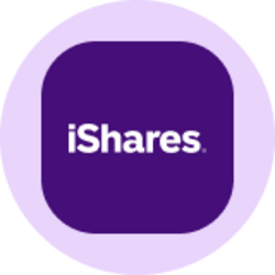 iShares MSCI Emerging Markets ETF (Ondo Tokenized ETF)