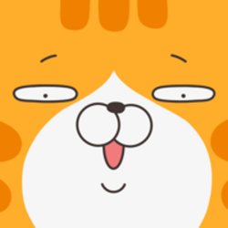 LanLan Cat