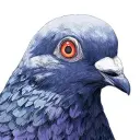 pigeon.trade