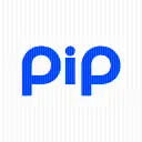 PIP（Peer Protocol）