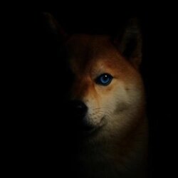 Underdog
