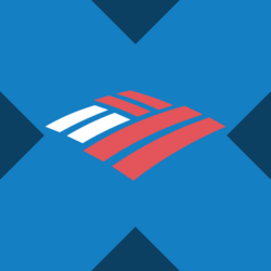 Wrapped Bank of America xStock