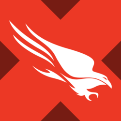 Wrapped CrowdStrike xStock