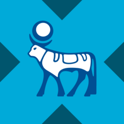 Wrapped Novo Nordisk xStock