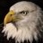 Crypto Eagle